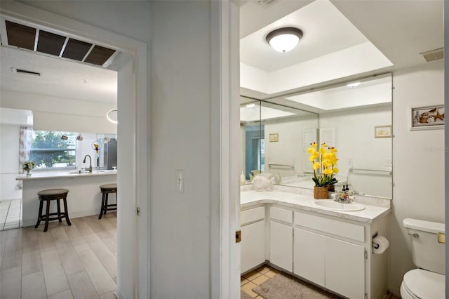 bathroom featuring vanity, toilet, and wood-type flooring