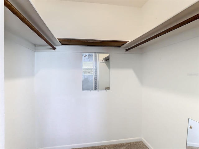 spacious closet with carpet flooring