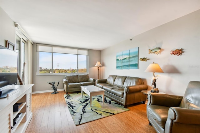 living room featuring light hardwood / wood-style floors