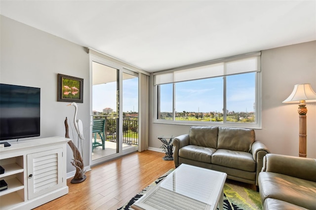 living room with light hardwood / wood-style floors