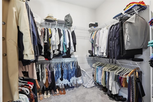 spacious closet featuring carpet floors