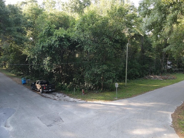 Address Not Disclosed, Springs FL, 32643 land for sale