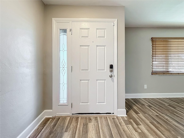 foyer entrance featuring wood-type flooring