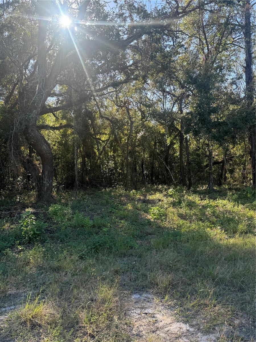 14004 Peace Blvd, Spring Hill, FL 34610