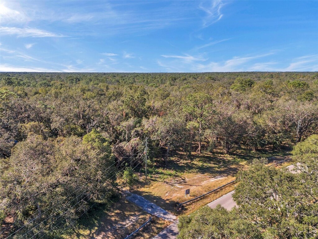 14004 Peace Blvd, Spring Hill, FL 34610