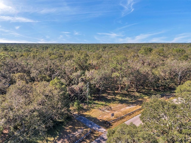 14004 Peace Blvd, Spring Hill, FL 34610
