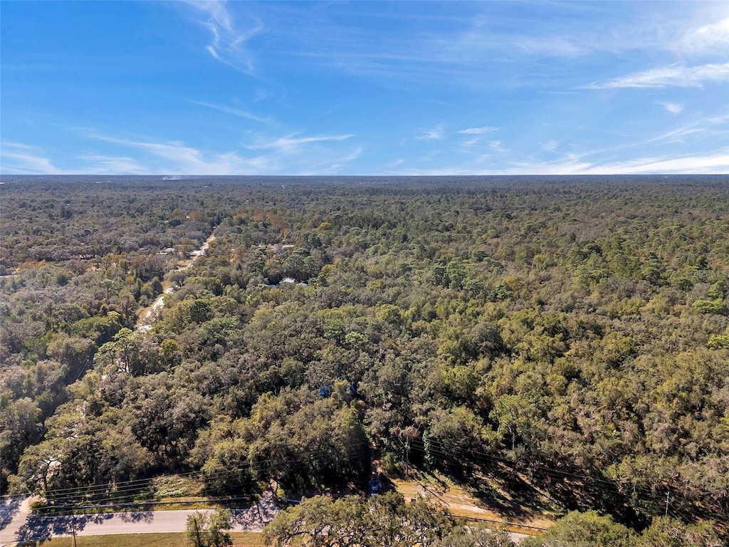 14004 Peace Blvd, Spring Hill, FL 34610