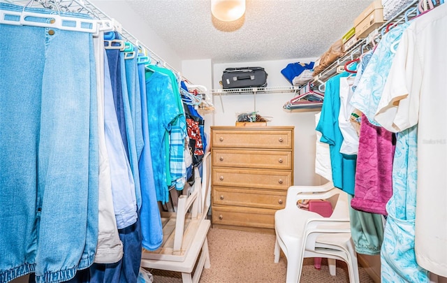 spacious closet featuring carpet