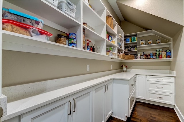 view of pantry