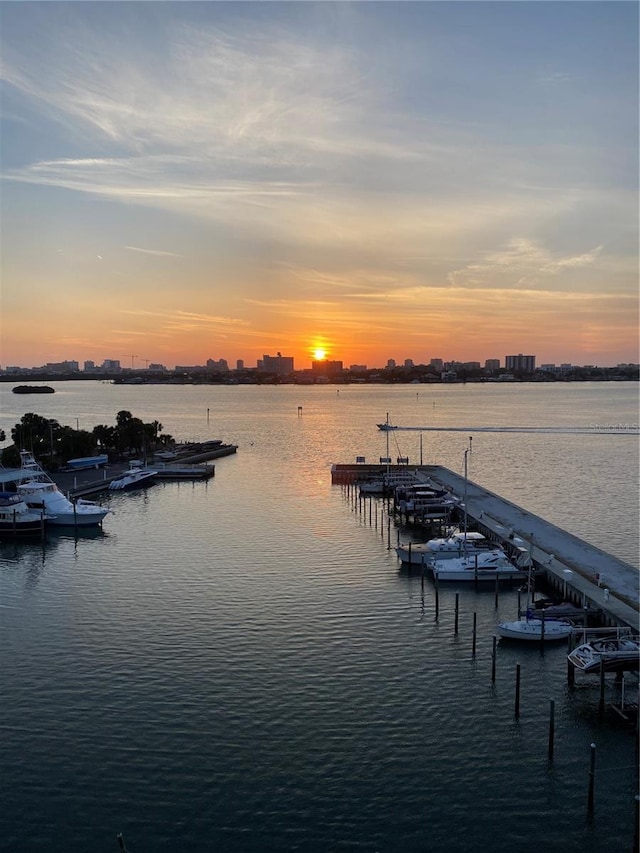 dock area featuring a water view