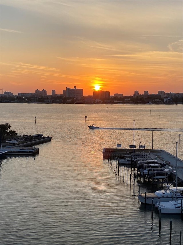 property view of water featuring a boat dock