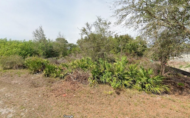 2904 3rd St W, Lehigh Acres FL, 33971 land for sale