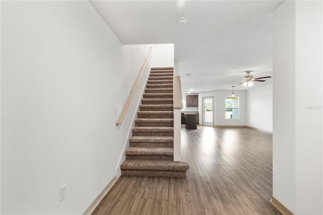 stairway featuring wood-type flooring and ceiling fan