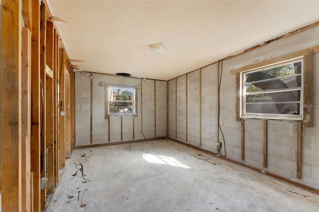 basement featuring a wealth of natural light and a textured ceiling