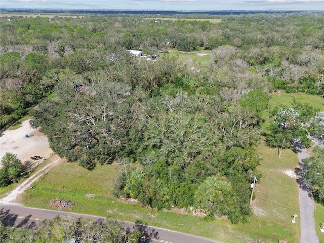 Listing photo 3 for 1619 Butch Cassidy Trl, Wimauma FL 33598