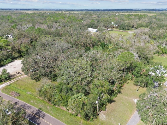 1619 Butch Cassidy Trl, Wimauma, FL 33598 - photo 4