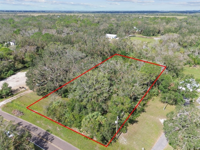 1619 Butch Cassidy Trl, Wimauma, FL 33598 - photo 5