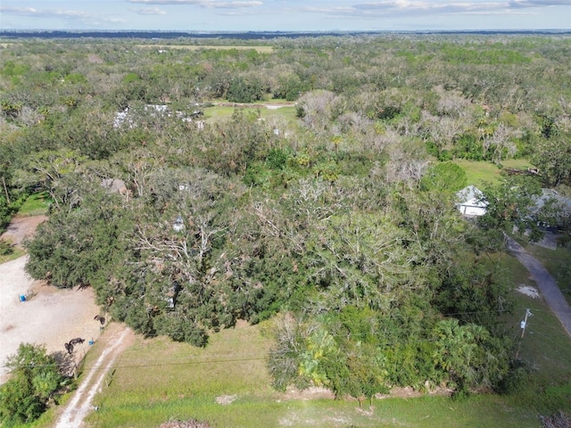 1619 Butch Cassidy Trl, Wimauma, FL 33598 - photo 6
