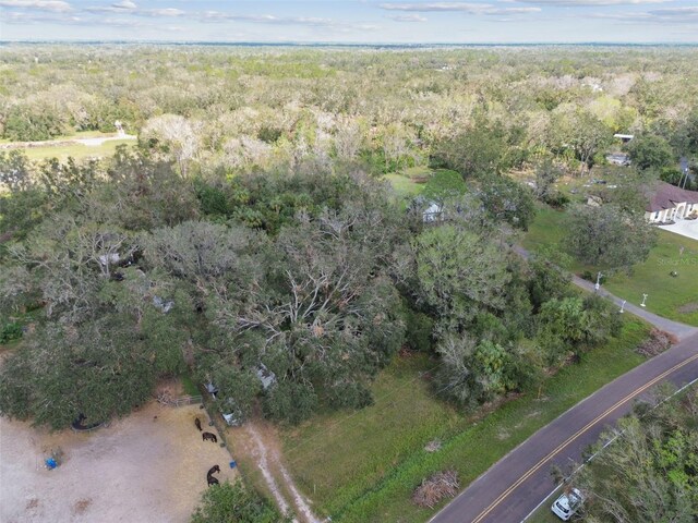1619 Butch Cassidy Trl, Wimauma, FL 33598 - photo 7
