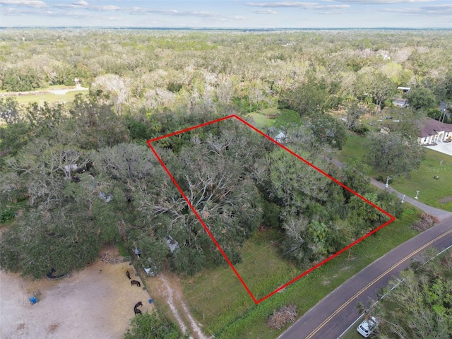 1619 Butch Cassidy Trl, Wimauma, FL 33598 - photo 8