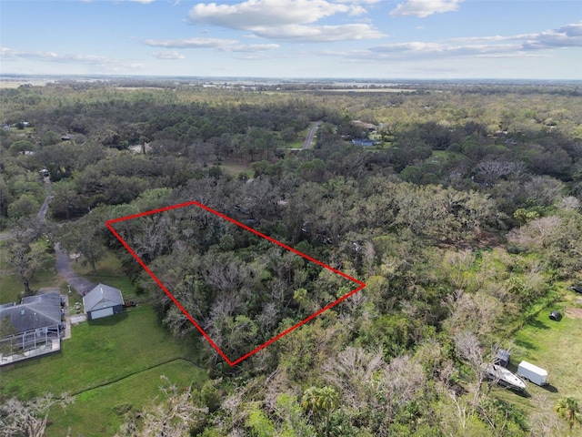 1619 Butch Cassidy Trl, Wimauma, FL 33598 - photo 10
