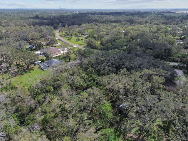 1619 Butch Cassidy Trl, Wimauma, FL 33598 - photo 13