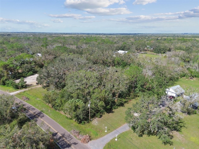 1619 Butch Cassidy Trl, Wimauma, FL 33598 - photo 26