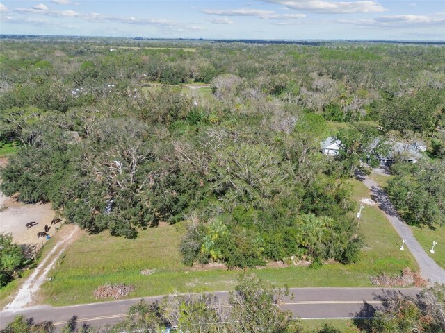 1619 Butch Cassidy Trl, Wimauma, FL 33598 - photo 27