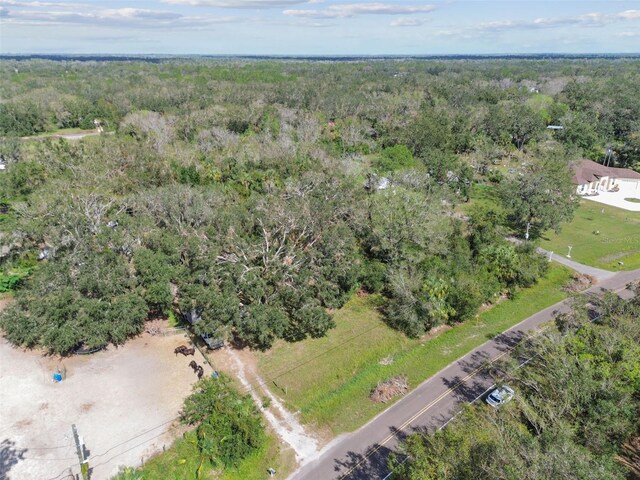 1619 Butch Cassidy Trl, Wimauma, FL 33598 - photo 28