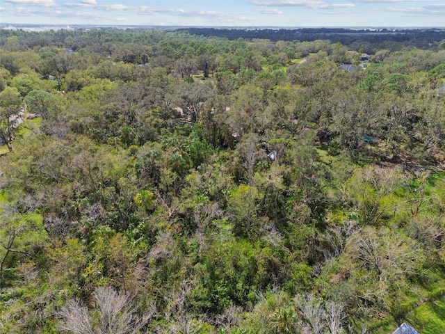 1619 Butch Cassidy Trl, Wimauma, FL 33598 - photo 31