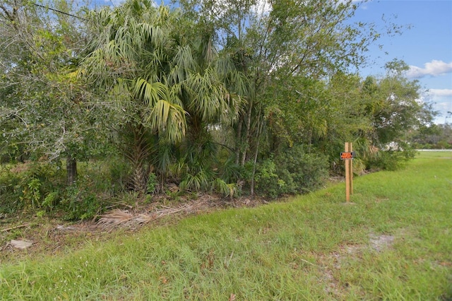 1619 Butch Cassidy Trl, Wimauma, FL 33598 - photo 38