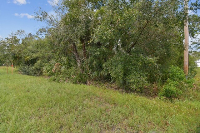 1619 Butch Cassidy Trl, Wimauma, FL 33598 - photo 39
