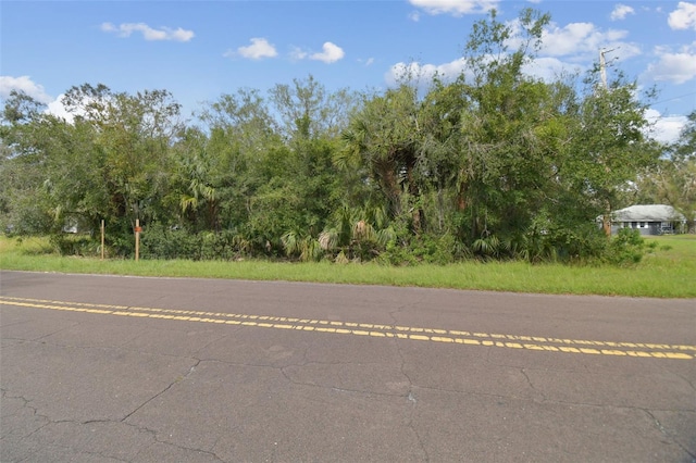1619 Butch Cassidy Trl, Wimauma, FL 33598 - photo 40