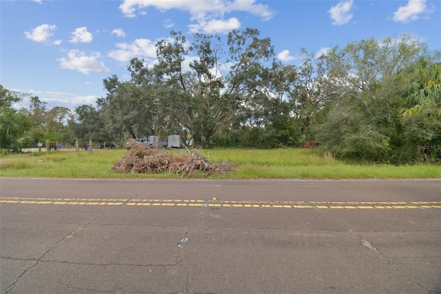 1619 Butch Cassidy Trl, Wimauma, FL 33598 - photo 41