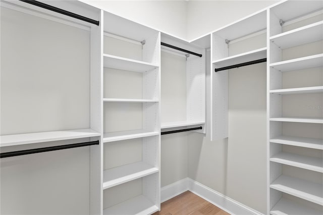 4633 W Lowell Ave, Tampa, FL 33629 - walk in closet with wood finished floors