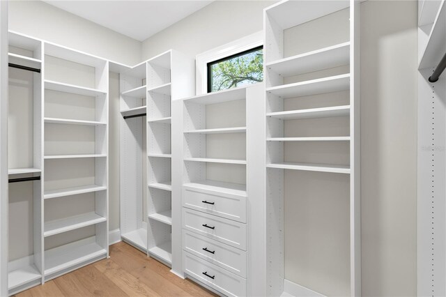 4633 W Lowell Ave, Tampa, FL 33629 - walk in closet featuring light wood-style flooring