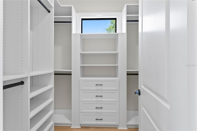 4633 W Lowell Ave, Tampa, FL 33629 - view of walk in closet