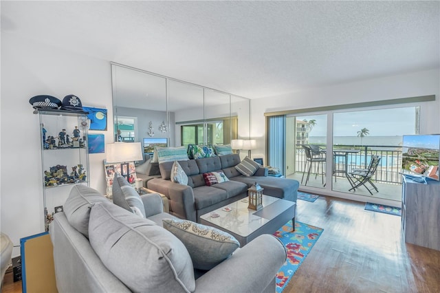 living room with hardwood / wood-style floors and a textured ceiling