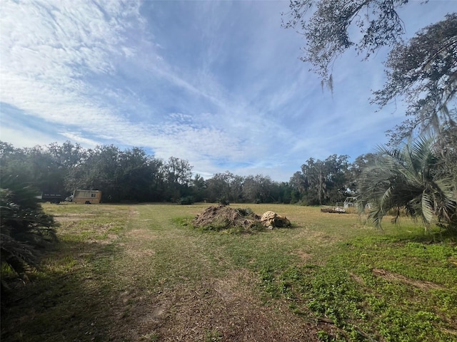 view of yard with a rural view