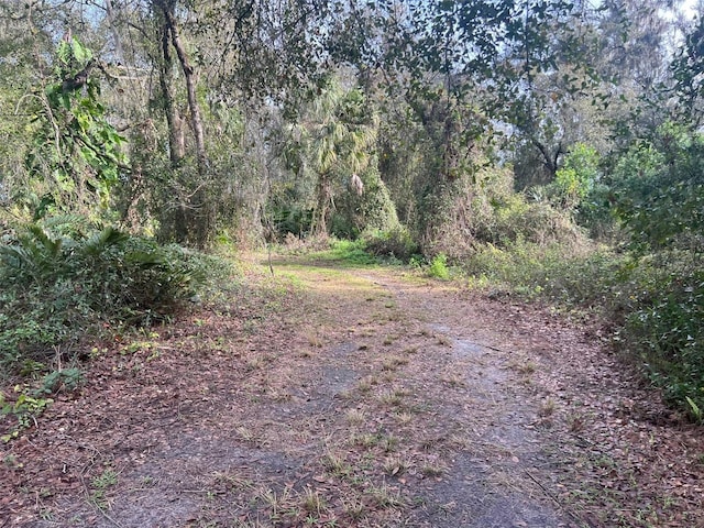 view of landscape