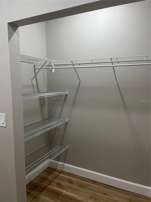 walk in closet featuring wood-type flooring