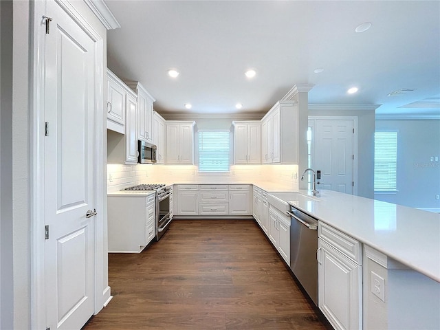 kitchen featuring sink, dark hardwood / wood-style floors, decorative backsplash, white cabinets, and appliances with stainless steel finishes