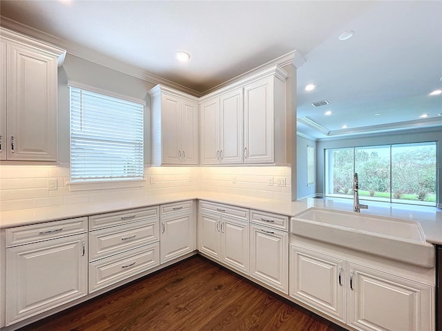 kitchen featuring ornamental molding, white cabinetry, dark wood-type flooring, and sink