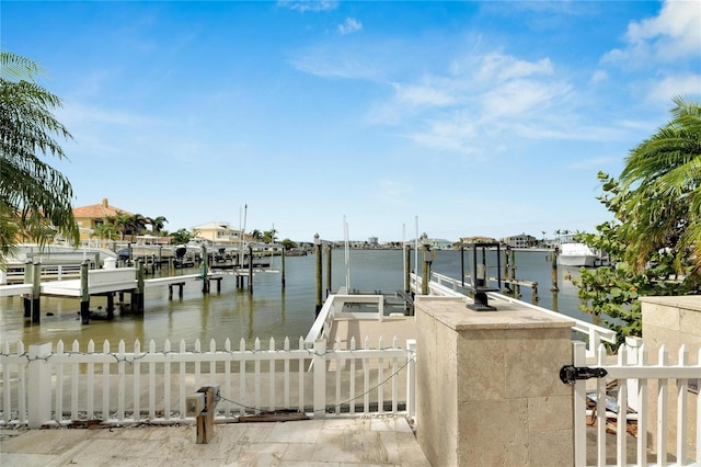 dock area with a water view