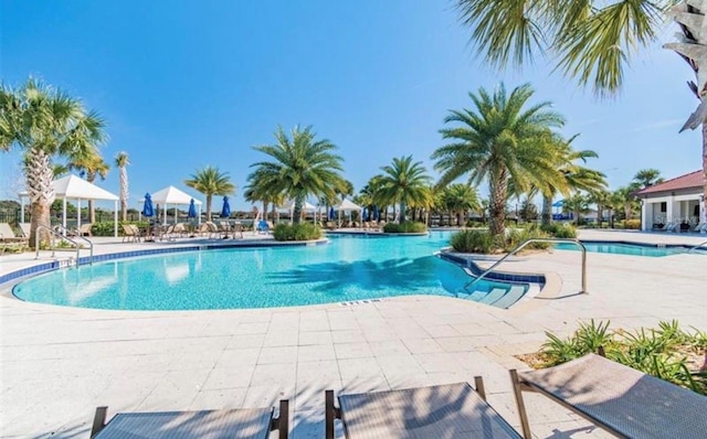 view of pool featuring a patio area