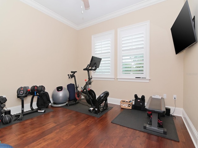 exercise area with a ceiling fan, crown molding, baseboards, and wood finished floors