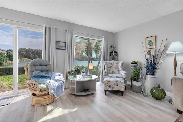 living area featuring light hardwood / wood-style floors and a textured ceiling