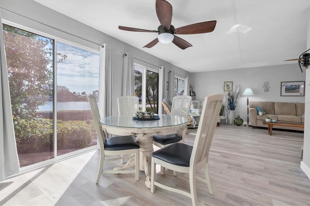 dining space featuring ceiling fan, a textured ceiling, and light hardwood / wood-style flooring