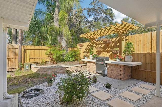 view of patio / terrace featuring a grill and exterior kitchen