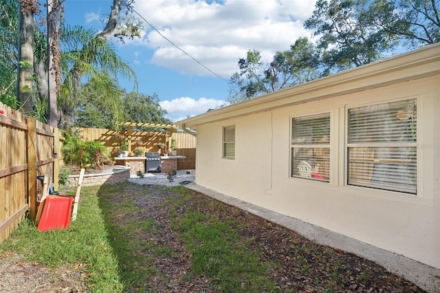 view of yard featuring a patio area